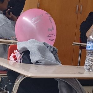 Meet your Posher, Isabella